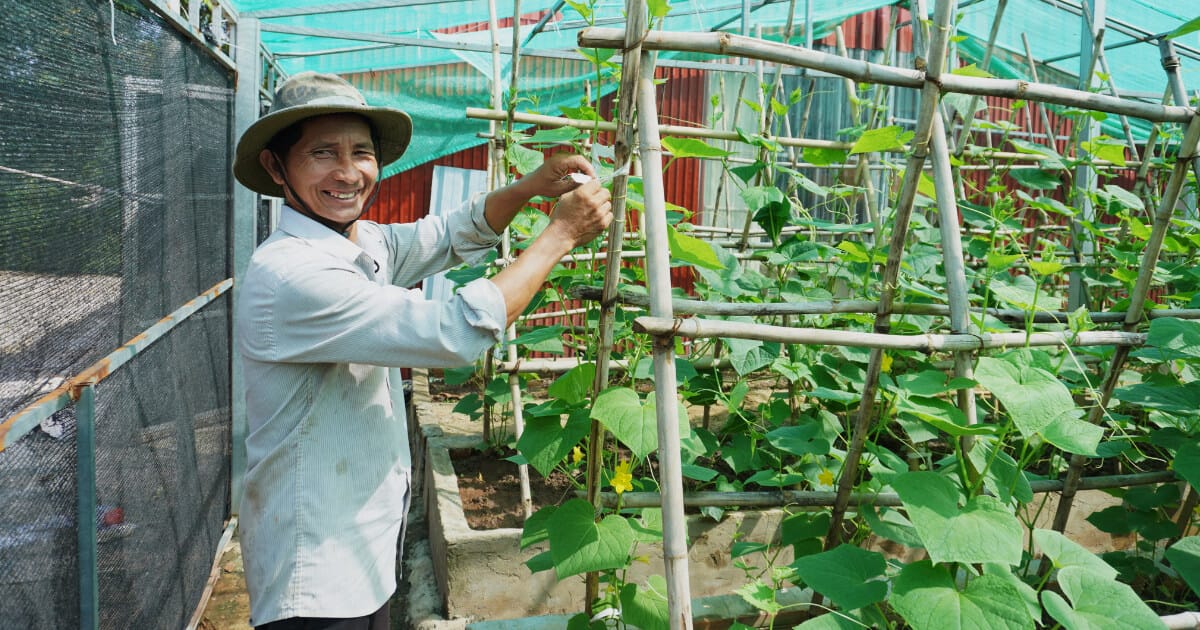 Have You Met Martini?